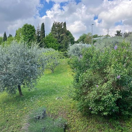 Happy Guest Apartments - Lake View And Pool Riva di Solto Luaran gambar