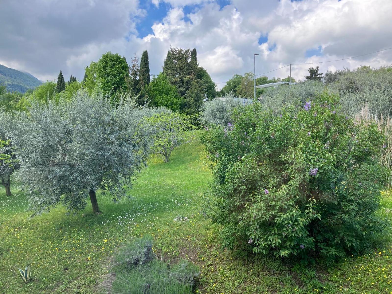 Happy Guest Apartments - Lake View And Pool Riva di Solto Luaran gambar